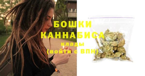 сатива Баксан