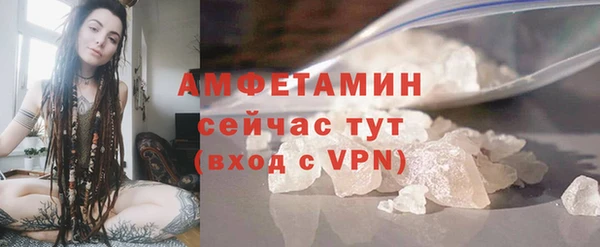 сатива Баксан