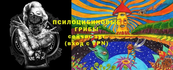 сатива Баксан
