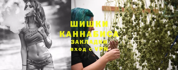 сатива Баксан