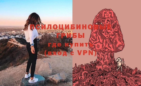 герыч Балахна